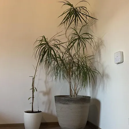 Industrial Look - 2 Bedroom - In Plagwitz Апартаменты